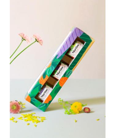 Tasting box of 3 "Discovery" honeys: Acacia - Linden - Lavender