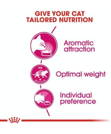 Royal Canin Cat Food Aroma Exigent Dry Cat Food 400g (Pack of 3) - Buy Online on GoSupps.com