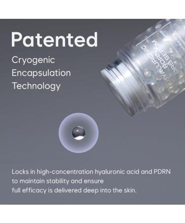 HAUA Hyaluronic PDRN 30 000 ppm Orb Serum Salmon DNA PDRN Korean Skincare Anti-Aging Skin Repair Firming Deep Hydration Radiance Booster Wrinkle Care Stocking Stuffers | 1.58 oz - Buy Online on GoSupps.com