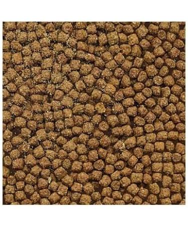 Flamingo PP Cichlid Food Granule for Aquarium 500 ML - Buy Online on GoSupps.com