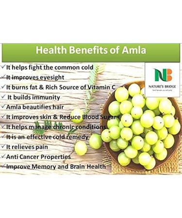 Nature's Bridge Sweet Amla Candy 250 gm x 2 Jar Pack/Amla Candy/Dry Amla Candy/Indian Gooseberries - (250 gm Jar Pack of 2)_Packing May Vary - Buy Online on GoSupps.com