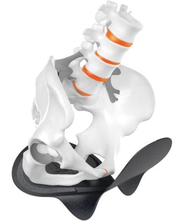 Gonso SQlab GO Thermo Bib Shorts for Men - Black S | Optimal Comfort & Performance for Cycling - Buy Online on GoSupps.com