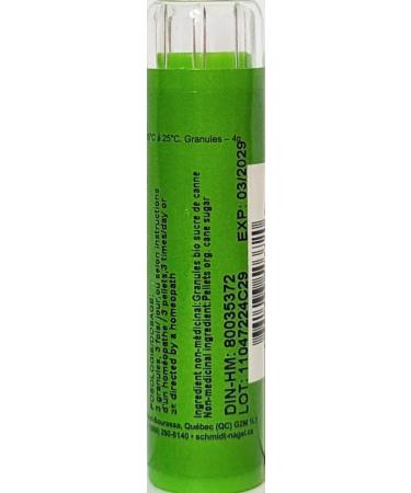 Aurum Metallicum 200K Homeopathy Medicine Schmidt-Nagel Canada (Homeodel) 90 pellets/granules - Buy Online on GoSupps.com