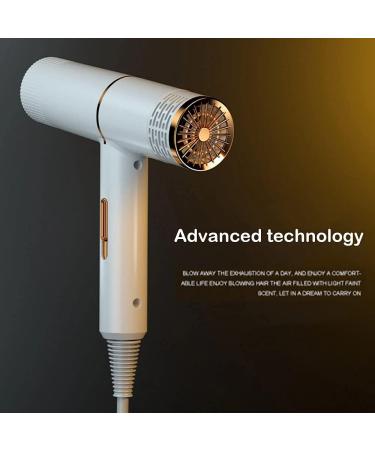 Professional Hair Dryer Infrared Negative Ionic Blow Dryer Hot&Cold Wind Salon Hair Styler Tool Hair Electric Blow Drier Blower (Type 2 White) - Buy Online on GoSupps.com