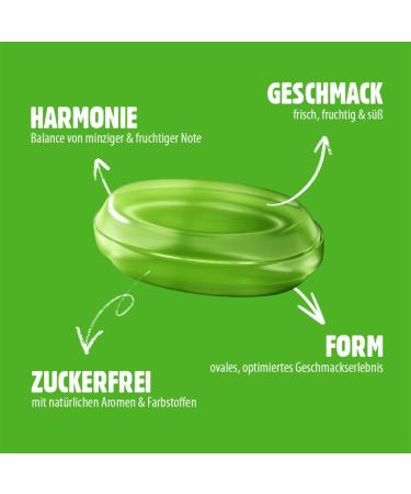 VIVIL Lime Mint Candies with Vitamin C - Sugar-Free Vegan Refreshing Lime Flavor - 120g Bag - Buy Online on GoSupps.com