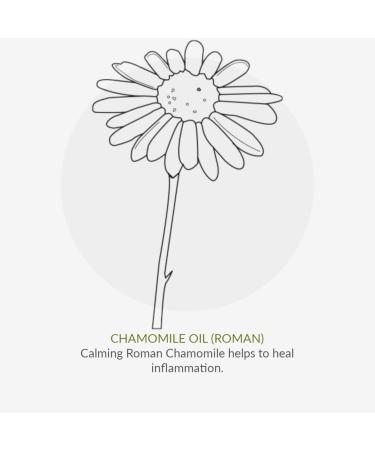 Buy GREEN PEOPLE Aloe Vera Deodorant 75 ML - Natural Eco-Friendly & International Shipping - Buy Online on GoSupps.com