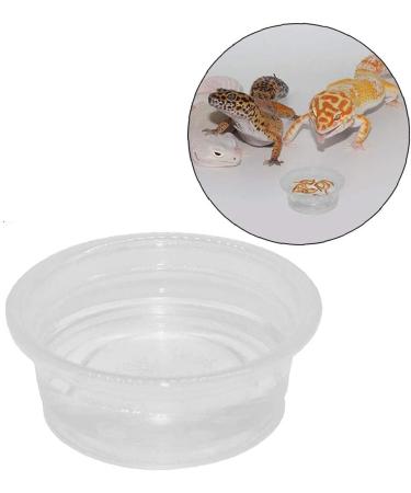 Yililay Gecko Food And Water Containers Reptile Feeder Bowls Gecko Transparent Feeder Bowls Reptile Feeding Plastic Dish Gecko Food Water Containers 100Pcs - Buy Online on GoSupps.com