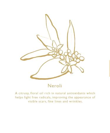 Enriching Daily Vitamin Face Oil 1 ounce - Superfood Antioxidant Rich Face Moisturizer with Vitamins A C E Essential Amino Acids Omegas 3 6 & 9 (USDA Organic & Natural Ingredients) LADIONE SKINCARE - Buy Online on GoSupps.com