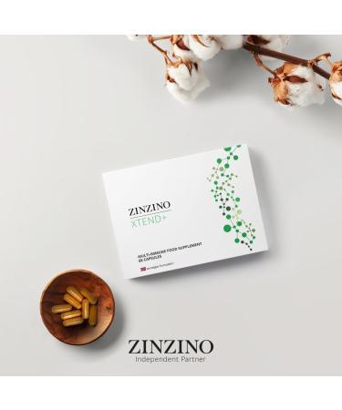  ZinZino ZinZino Health Protocol Kit - BalanceOil+ Orange-Lemon-Mint 300ml ZinoBiotic+ & Xtend+ - Complete Food Supplement Pack - Buy Online on GoSupps.com