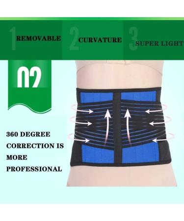 Adjustable Neoprene Back Support Belt for Pain Relief | Lumbar Support Waist Belt - Blue (XXXXL) - Buy Online on GoSupps.com