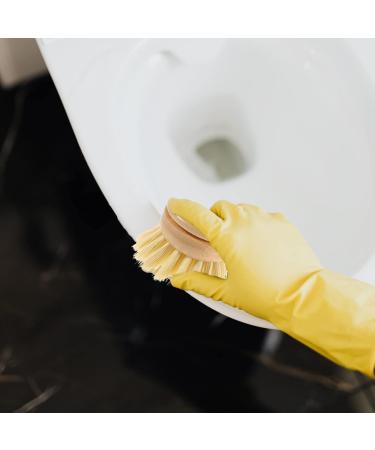 Solustre 2-Pack Sisal Cleaning Spot Brush Head - Wooden Kitchen Scrubber Replacement for Dishware & Pots - Buy Online on GoSupps.com