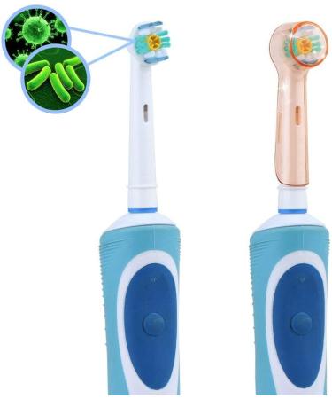 6 Pcs Amber Electric Toothbrush Covers for Oral B Rotating Heads - Travel Friendly Accessories for Healthier Teeth - Buy Online on GoSupps.com