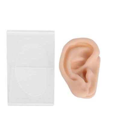 Soft Silicone Ear Model with Display Rack Simulation Ear for Acupuncture Teaching Practicing Practical Ear Model with Lifelike Ear Surface Structure Suitable for Hospital Beauty Salon Display
