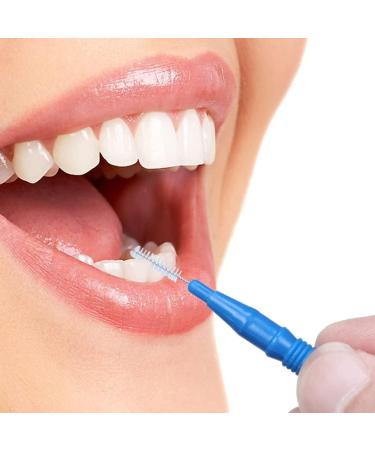 100-Piece Interdental Brush Toothpick Flossing Head Set for Oral Hygiene | Dental Floss Stick Cleaner Tool - Buy Online on GoSupps.com