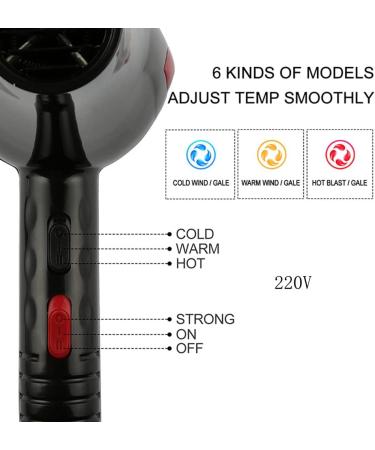 1800W Hair Dryer Professional Salon Negative Ionic Blow Dryers with Collecting Nozzle with 3 Heat & 2 Speed Constant Temperature Technology Low Noise Hair Dryer for Household and Salon Small Gift - Buy Online on GoSupps.com