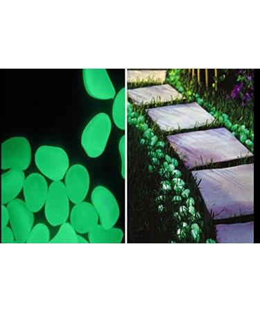 VViViD Green Glow in the Dark Pigment Powder - 30g/1oz Packet - Buy Online on GoSupps.com