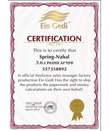 Ein Gedi Anointing Oil 12ml - Pure Holyland Jerusalem Oil | Light of Jerusalem | International Shipping Available - Buy Online on GoSupps.com