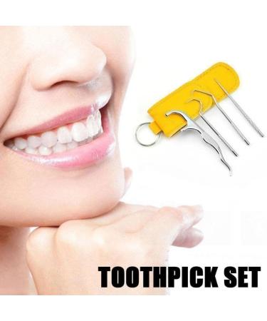 CTDWTN Portable Stainless Steel Toothpick Set - 1 Set Metal Cleaning Tool for Teeth & Flower Remover - Travel-Friendly Bamboo Tooth Tube - Buy Online on GoSupps.com