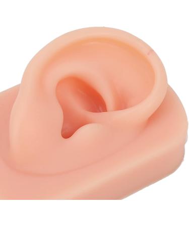 Flexible Reusable Human Ear Model - Soft & Easy to Use for Headphones Display and Acupuncture Training (Light Complexion) - Buy Online on GoSupps.com
