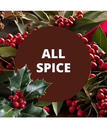 Copper Creek All Spice (Type* Compatible with) Scented Crafting Fragrance Oil for Bath and Body Products Perfumes and Candles 4 Oz 4 Fl Oz (Pack of 1) - Buy Online on GoSupps.com