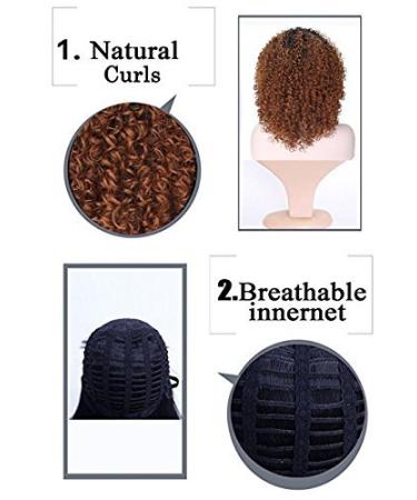 Curly Hair Wigs for Black Women | Natural Kinky Curly Afro Lace Front Wigs | Short Fluffy Wavy Human & Synthetic Options - Buy Online on GoSupps.com