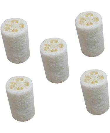 Buy FOMIYES 10 Pcs Natural Loofah Sponge Set for Kitchen & Bath - Eco-Friendly Cleaning & Massage | Best Bath Pouf & Washing Up Sponge - Buy Online on GoSupps.com