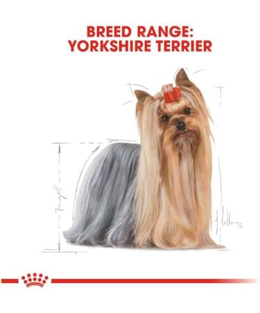 Royal Canin Yorkshire Terrier Adult | Pack of 3 | 3 x 500 g | Dry food for Yorkshire Terrier Adult | From 10 Months | to Help Age Healthy - Buy Online on GoSupps.com