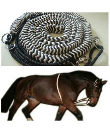 Pferdeseile_DE Lunging aid - the ORIGINAL - Made in Germany - Size COB