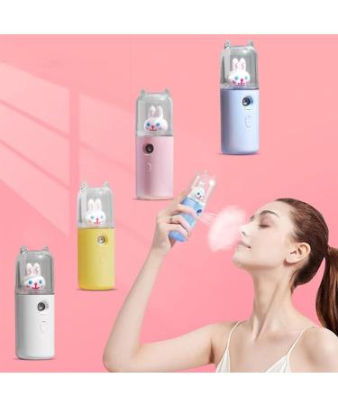 dijiusidy USB Sprayer Maker Portable 30ml Mini Humidifier Fogger Face Steamer Traveling Camping Atomizer Beauty Instrument Type 2 White - Buy Online on GoSupps.com