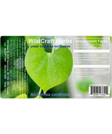 Alchornea Cordifolia Herb Tincture Extract 16 oz 16 Fl Oz (Pack of 1) - Buy Online on GoSupps.com