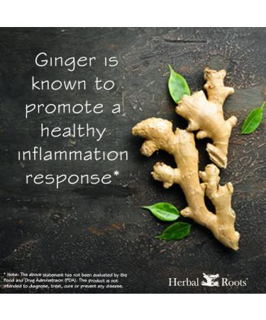 Organic Ginger Root Capsules | Digestive Aid & Immune Support | 60 Vegan Capsules | Made in USA - Buy Online on GoSupps.com