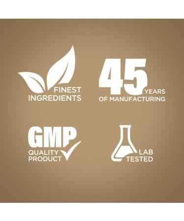 Piping Rock Maitake Mushroom Extract | 240 Capsules | Herbal Supplement | Non-GMO Gluten Free - Buy Online on GoSupps.com