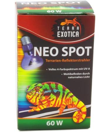Terra Exotica Neo Spot - UV Radiation Terrarium Reflector & Heat Light Source (25W 40W 60W 75W 100W 150W) for Healthy Terrarium Dwellers - Buy Online on GoSupps.com