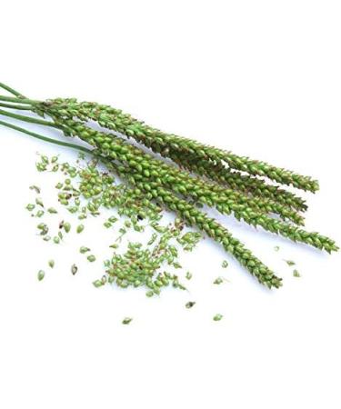 Large Herbal Package for Vaporizers & Aromatherapy - 235g of Scented Herbs & Incense - Buy Online on GoSupps.com