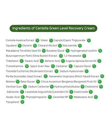 Purito Centella Green Level Recovery Cream - 1.7 fl oz (50 ml) | Soothing Skincare for Sensitive Skin - Buy Online on GoSupps.com