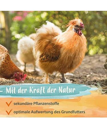 Ida Plus Herb Mixture for Chickens - 19 Natural Herbs for Digestion & Health - 500g Balanced Poultry Food - Buy Online on GoSupps.com