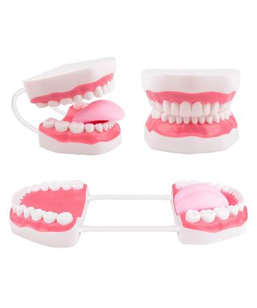 Ultrassist 6 Times Enlarge Mouth Model White Hinge for Speech Therapy - Ideal Dental Teaching Tool for Kids with Toothbrush Included - Buy Online on GoSupps.com