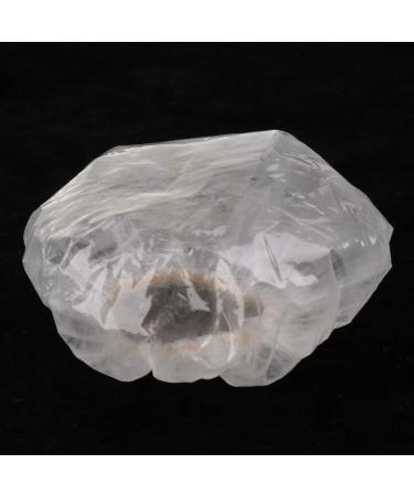 B Baosity 100pcs Shower Ear for Children Swimming Clear as described - Buy Online on GoSupps.com