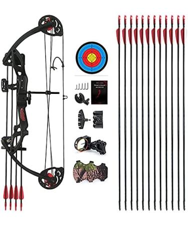 PANDARUS Compound Bow Archery Set for Youth and Beginners - 19-28 Draw Length, 15-29 lbs Draw Weight, 260 fps - Right Handed - Includes Hunting Equipment - Buy Online on GoSupps.com