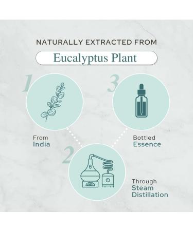 Plant of Life Essential Oil - 100% Pure and Natural - Therapeutic Grade Essential Oil with Dropper (Eucalyptus 2 oz (60mL)) - Buy Online on GoSupps.com