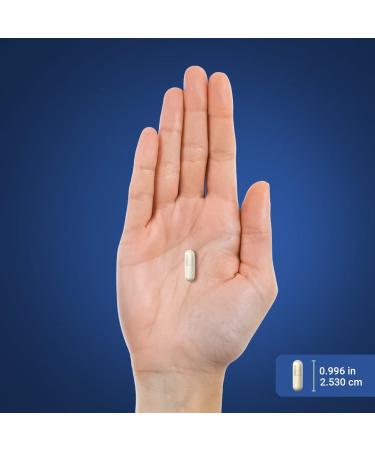 Piping Rock CDP Choline Citicoline 1000mg | 60 Quick Release Capsules | for Men and Women | Non-GMO Gluten Free Dietary Supplement - Buy Online on GoSupps.com