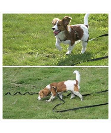 15m Black Track Line for Dogs - Durable Nylon Leash with D-Carabiner & Grip Cushion - Weatherproof Training Line for All Dog Sizes - Buy Online on GoSupps.com