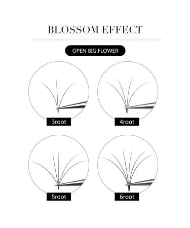 Buy 5 Trays 1 Second Blossom Eyelash Extensions Set | Easy Make Fans C Curl 10-14mm | 0.05mm Thickness | International Shipping - Buy Online on GoSupps.com