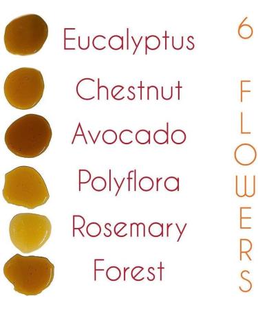 Honey Avocado Flower 100% Raw Pure Spanish Natural Unpasteurised Fresh Certified Avocado Flower Honey 1 Kg - Buy Online on GoSupps.com
