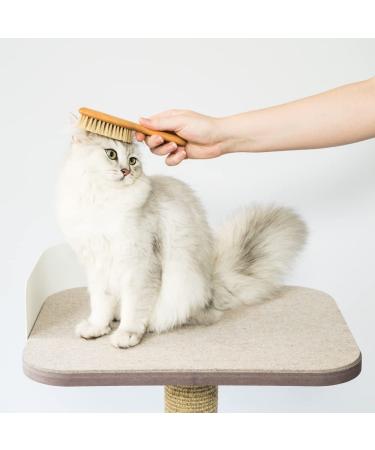 Lucybalu Cat Brush for Short & Long Hair | Natural Bristles & Wooden Handle | Best Cat Grooming Tool | Fellbrush & Katzenkamm - Buy Online on GoSupps.com