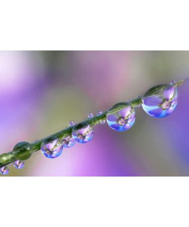 Moisture Boost Gel with ProVitamin B5 & Panthenol | 1 000x Hydration for Glowing Skin - Buy Online on GoSupps.com