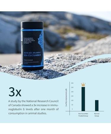 Nova Sea Atlantic Sea Cucumber Supplement Wild Caught Sea Cucumber Capsules with Fucosylated Chondroitin Vitamins Mineral Natural Antioxidant Supplement for Elderly Adult Child (Pack of 6) 60 count (Pack of 6) - Buy Online on GoSupps.com