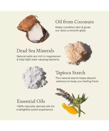 Each & Every Natural Aluminum-Free Deodorant for Sensitive Skin with Essential Oils Plant-Based Packaging Sandalwood & Black Pepper 2.5 Oz - Sandalwood & Black Pepper - Buy Online on GoSupps.com