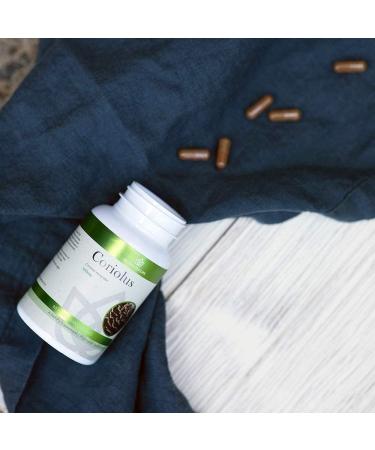 Nature Restore Coriolus Versicolor Mushroom Extract 30% Polysaccharides - 90 Capsules, Non-GMO, Gluten-Free - Buy Online on GoSupps.com