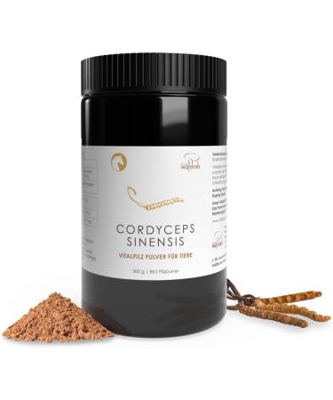 Buy Organic Cordyceps Powder for Animals - Wohlrab Quality - 300g | Microfinely Ground Cordyceps Sinensis - International Shipping - Buy Online on GoSupps.com